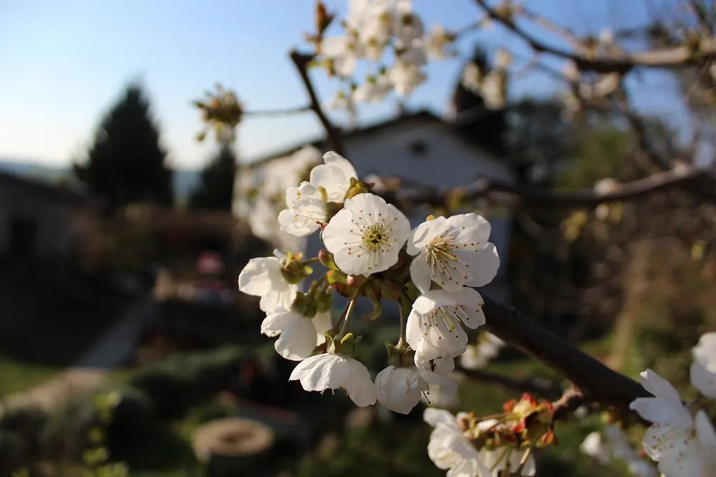 Agriturismo alle Torricelle Verona
