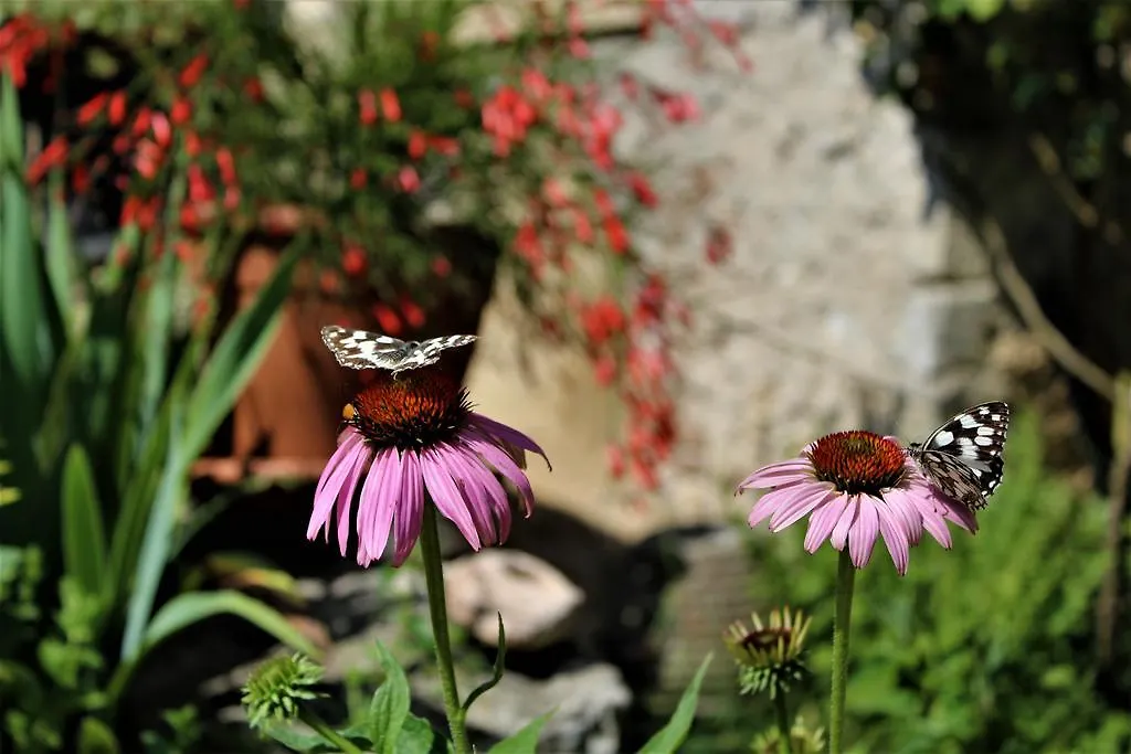 Agriturismo alle Torricelle Verona Alloggio per agriturismo